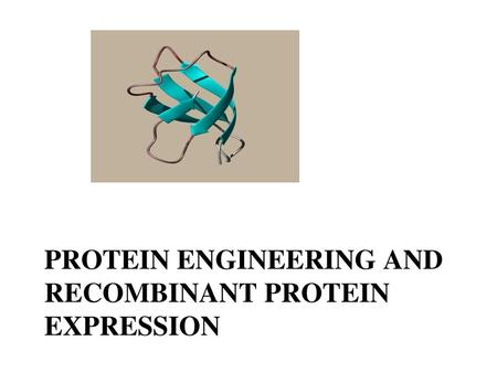 Protein engineering and recombinant protein expression