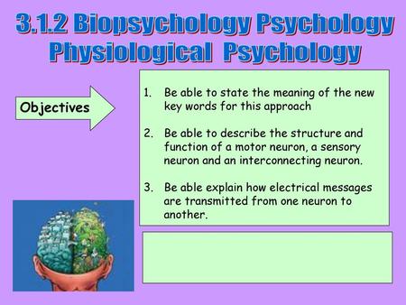 3.1.2 Biopsychology Psychology Physiological Psychology