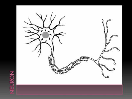 Neuron.