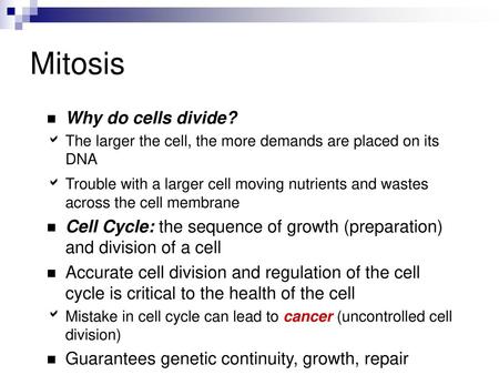 Mitosis Why do cells divide?