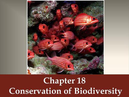 Chapter 18 Conservation of Biodiversity