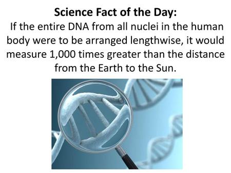 Science Fact of the Day: If the entire DNA from all nuclei in the human body were to be arranged lengthwise, it would measure 1,000 times greater than.