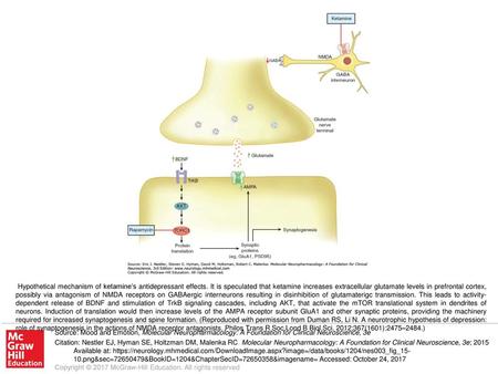 Hypothetical mechanism of ketamine’s antidepressant effects