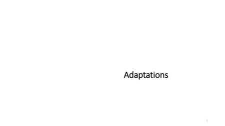 Adaptations.