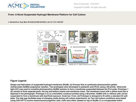 From: A Novel Suspended Hydrogel Membrane Platform for Cell Culture