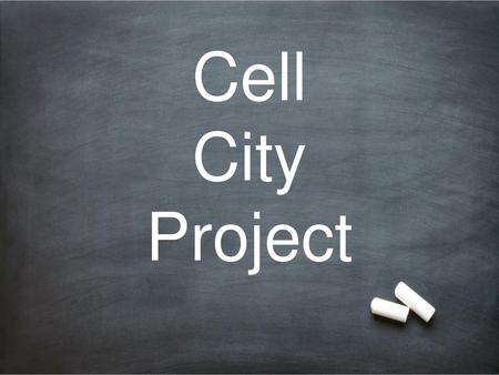 Cell City Project.