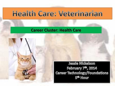 Health Care: Veterinarian