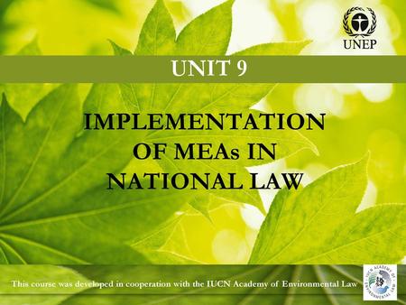 IMPLEMENTATION OF MEAs IN NATIONAL LAW