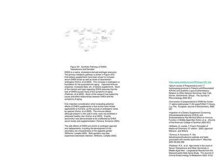 Figure XX. Synthetic Pathway of DHEA, Testosterone and Estradiol