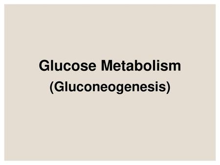 Glucose Metabolism (Gluconeogenesis)