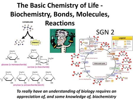 The Basic Chemistry of Life - Biochemistry, Bonds, Molecules, Reactions SGN 2 To really have an understanding of biology requires an appreciation of, and.