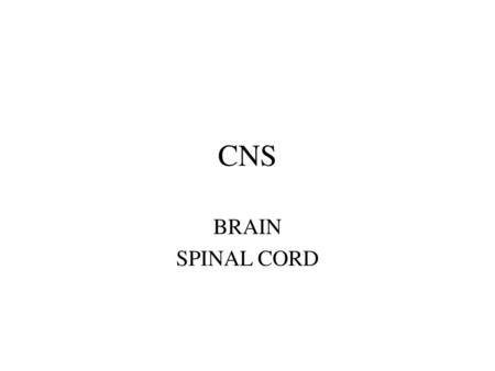 CNS BRAIN SPINAL CORD.