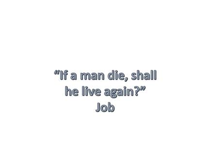 “If a man die, shall he live again?”