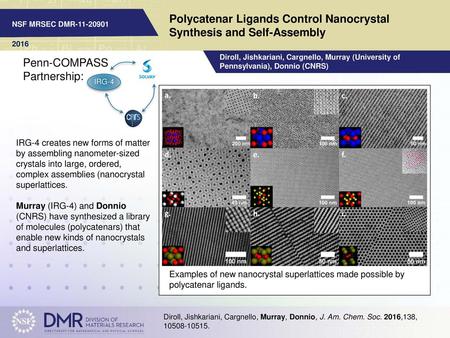 Polycatenar Ligands Control Nanocrystal Synthesis and Self-Assembly