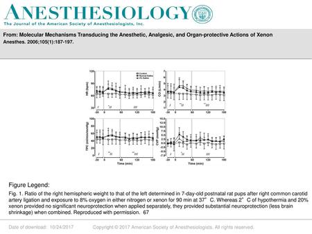 From: Molecular Mechanisms Transducing the Anesthetic, Analgesic, and Organ-protective Actions of Xenon Anesthes. 2006;105(1):187-197. Figure Legend: Fig.