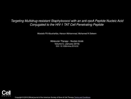 Targeting Multidrug-resistant Staphylococci with an anti-rpoA Peptide Nucleic Acid Conjugated to the HIV-1 TAT Cell Penetrating Peptide  Mostafa FN Abushahba,