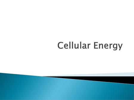 Cellular Energy.