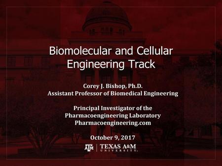 Biomolecular and Cellular Engineering Track