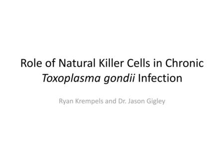 Role of Natural Killer Cells in Chronic Toxoplasma gondii Infection