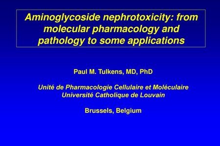 Aminoglycoside nephrotoxicity: from molecular pharmacology and pathology to some applications Paul M. Tulkens, MD, PhD Unité de Pharmacologie Cellulaire.