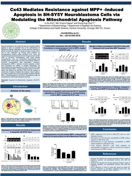 Cx43 Mediates Resistance against MPP+ -Induced