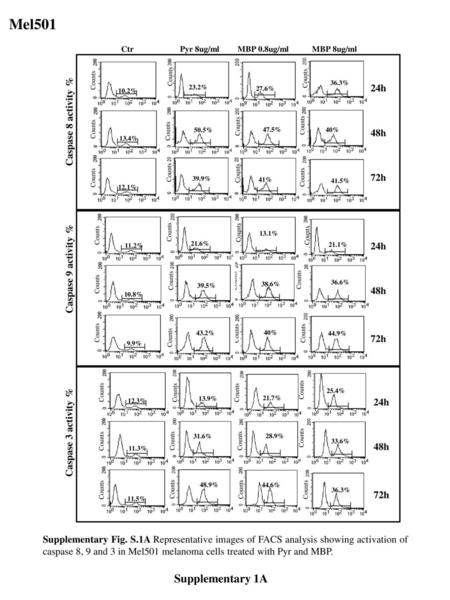 Mel501 Supplementary 1A Caspase 8 activity % 24h Caspase 9 activity %