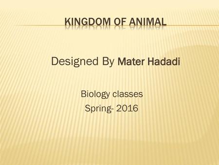 Kingdom of Animal Biology classes Designed By Mater Hadadi