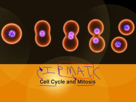 Cell Cycle and Mitosis.