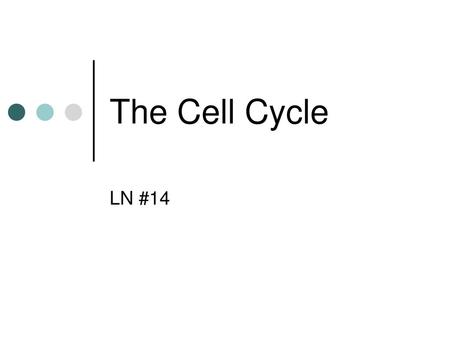 The Cell Cycle LN #14.