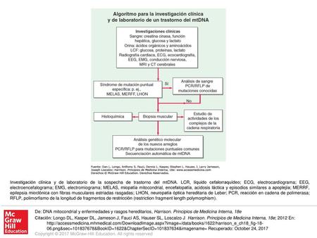 Investigación clínica y de laboratorio de la sospecha de trastorno del mtDNA. LCR, líquido cefalorraquídeo; ECG, electrocardiograma; EEG, electroencefalograma;