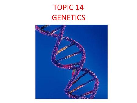 TOPIC 14 GENETICS.