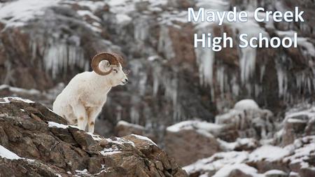 Mayde Creek High School WELCOME RAMS!.