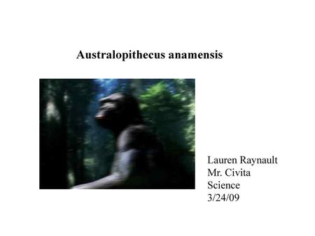 Australopithecus anamensis