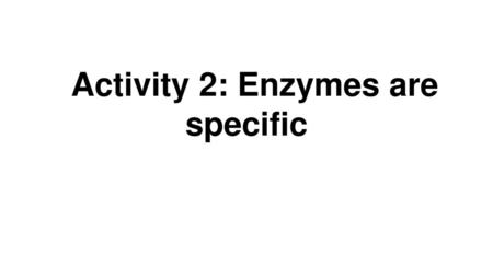 Activity 2: Enzymes are specific