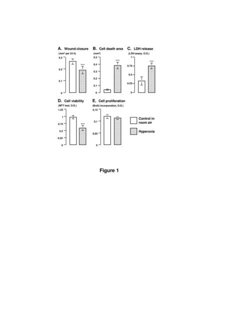 Figure 1 C. LDH release D. Cell viability E. Cell proliferation