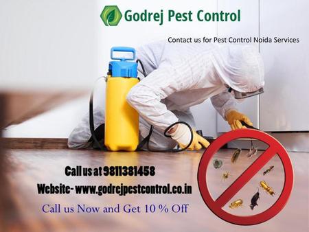 Contact us for Pest Control Noida Services