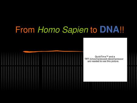 From Homo Sapien to DNA!!.