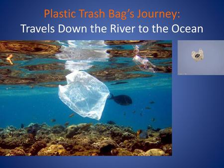 Plastic Trash Bag’s Journey: Travels Down the River to the Ocean