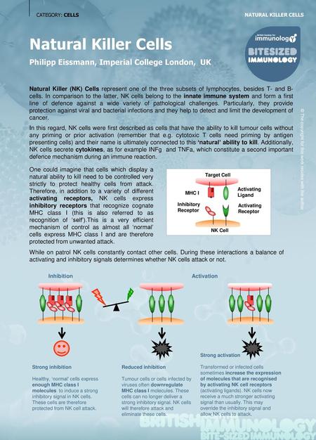 Natural Killer Cells Philipp Eissmann, Imperial College London, UK