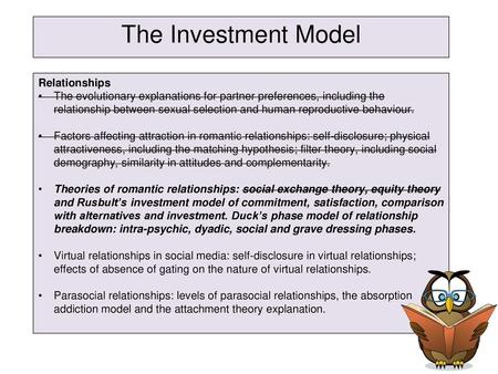 The Investment Model Relationships