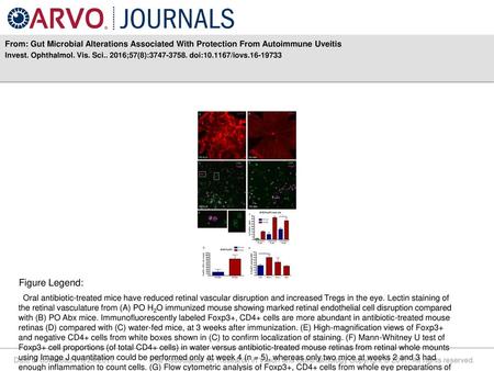 Invest. Ophthalmol. Vis. Sci ;57(8): doi: /iovs Figure Legend: