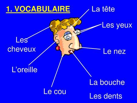 1. VOCABULAIRE La tête Les yeux Les cheveux Le nez L’oreille La bouche