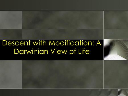 Descent with Modification: A Darwinian View of Life