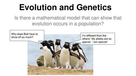 Evolution and Genetics