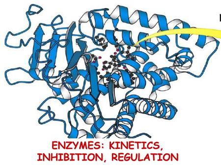 ENZYMES: KINETICS, INHIBITION, REGULATION