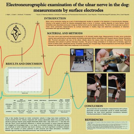 Electroneurographic examination of the ulnar nerve in the dog: