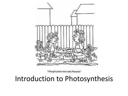 Introduction to Photosynthesis