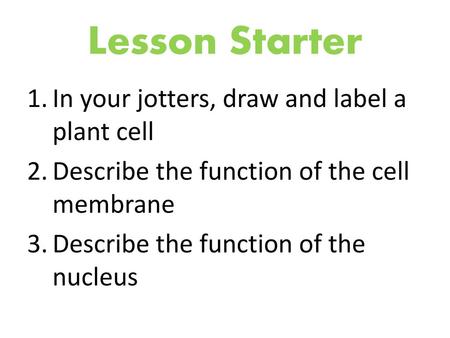 Lesson Starter In your jotters, draw and label a plant cell