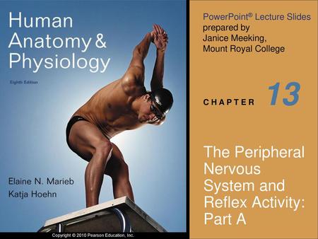 The Peripheral Nervous System and Reflex Activity: Part A