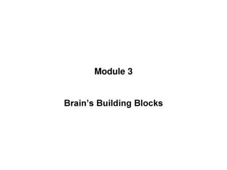 Brain’s Building Blocks